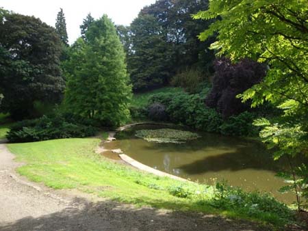 Teich im Park in Barmen