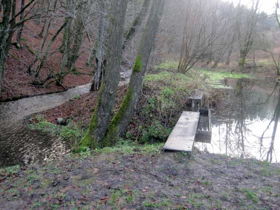 Wassereinfluss und Vorbecken