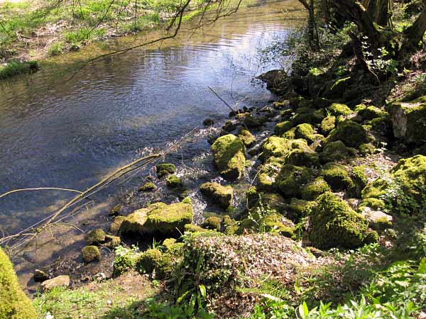 Wasseraustrittsstelle Hönne