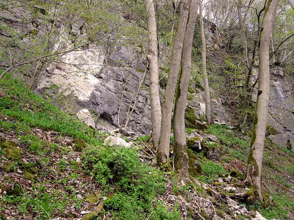 Hönnetal Felswand und Höhle