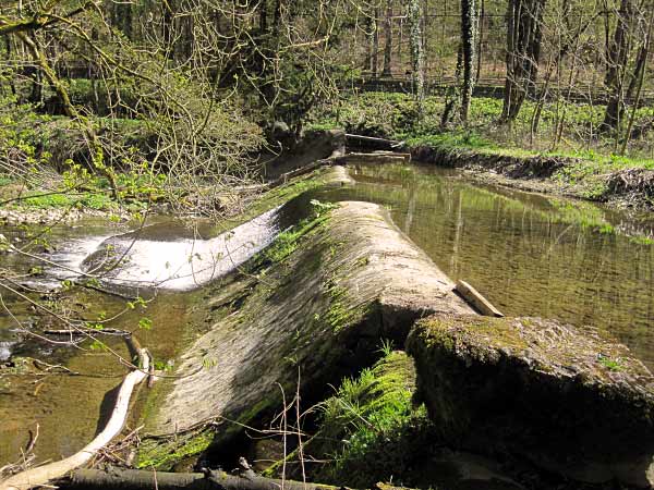 Hoennetal Stauwehr