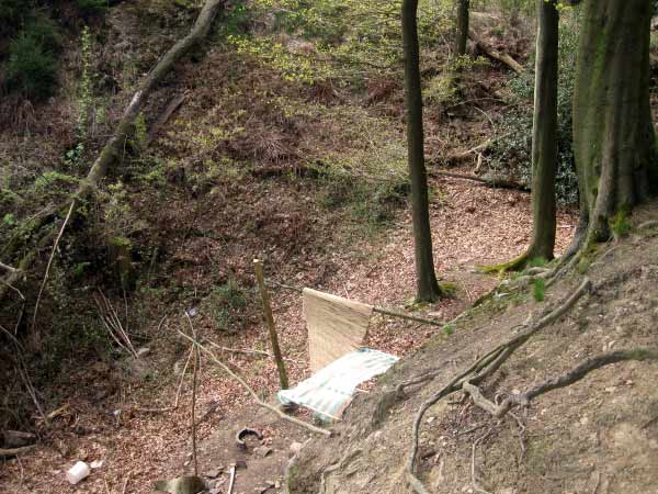 Einsiedler im Wald